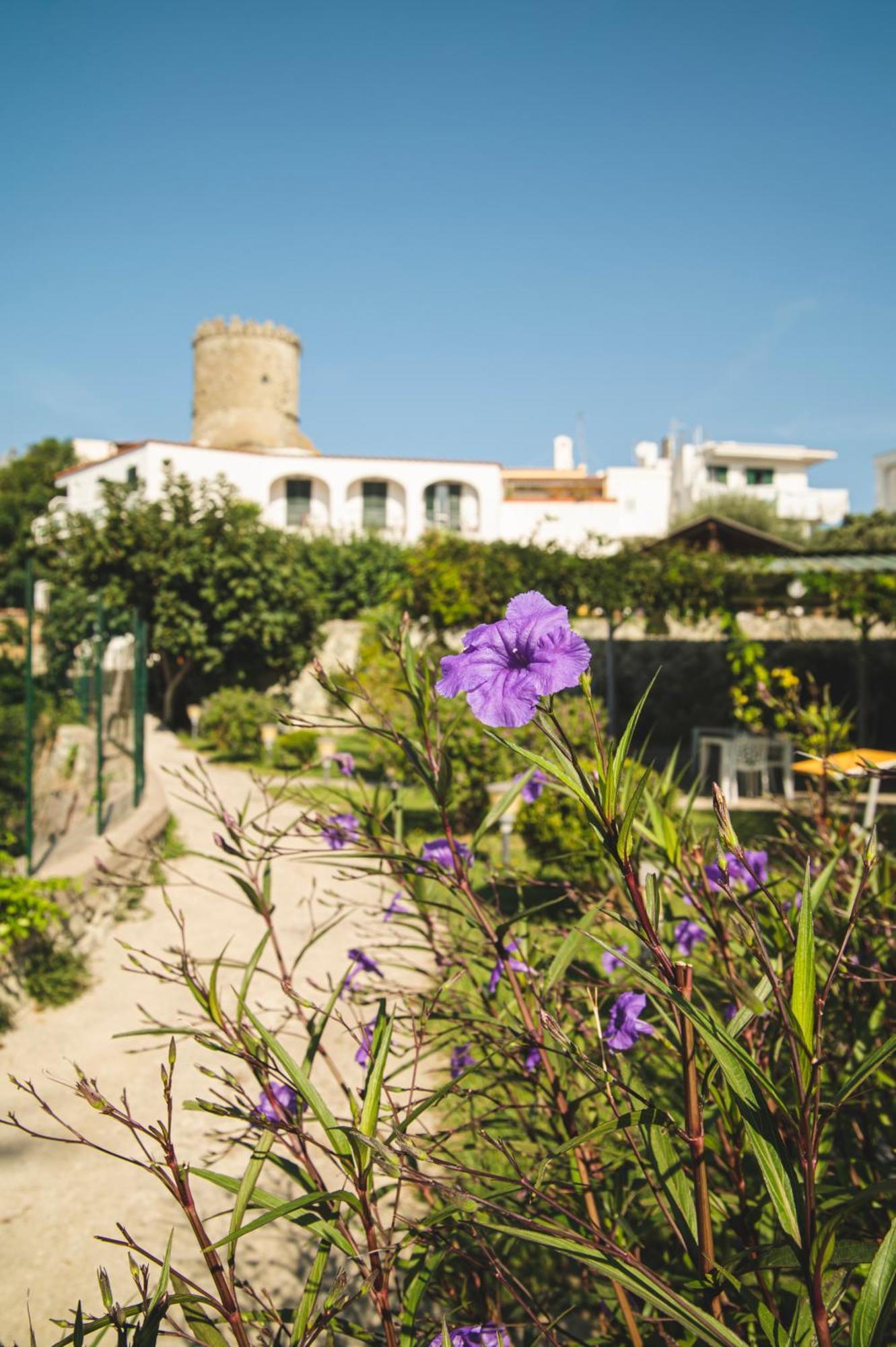 Victoria Park Resort Ischia Ngoại thất bức ảnh